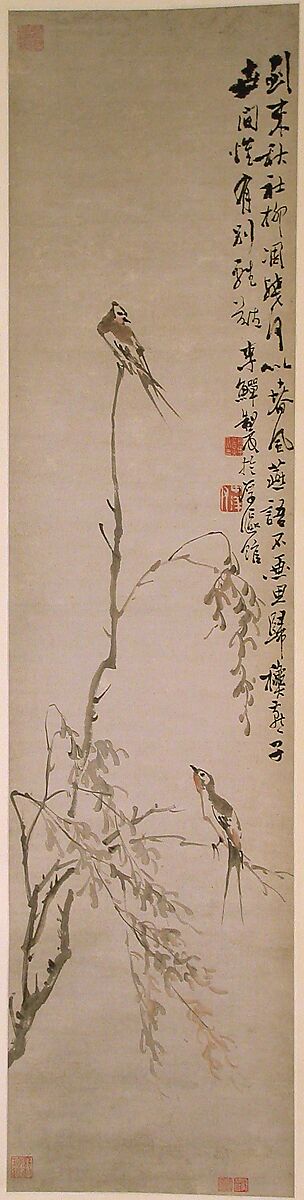 Swallows, Li Shan (Chinese, 1686–ca. 1756), Hanging scroll; ink and color on paper, China 