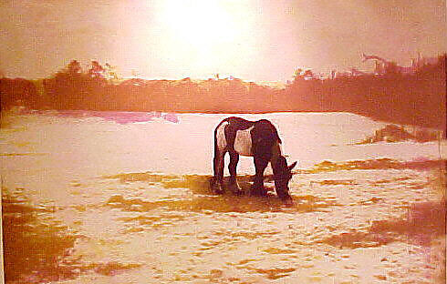 100 Years Ago, Peter Doig (British, born Edinburgh, Scotland, 1959), Series of eight etchings