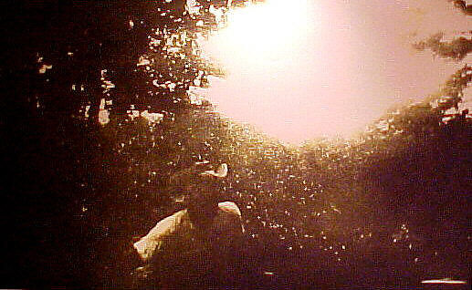 100 Years Ago, Peter Doig (British, born Edinburgh, Scotland, 1959), Series of eight etchings