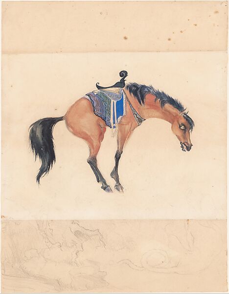 Horse, Leonora Carrington (Mexican (born England), Clayton Green, Lancashire 1917–2011 Mexico City), Watercolor, opaque watercolor, and graphite on paper 