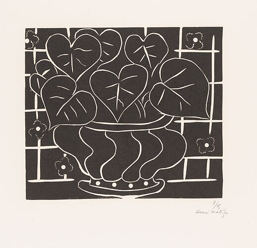 Begonias I