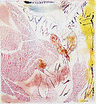 ¦Ring of Dust in Bloom¦ [incomplete set], Stanley Boxer (American, New York 1926–2000 Pittsfield, Massachusetts), Etchings and aquatints with watercolor (hand-coloring)  on chine-colle