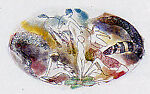 ¦Ring of Dust in Bloom¦ [incomplete set], Stanley Boxer (American, New York 1926–2000 Pittsfield, Massachusetts), Etchings and aquatints with watercolor (hand-coloring)  on chine-colle
