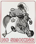 No Smoking (Large)