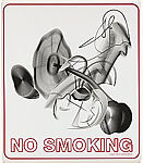 No Smoking (Small)