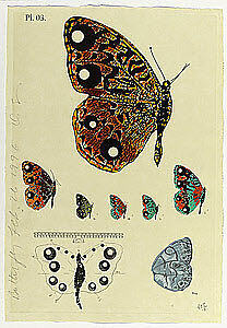 ¦The Album Series¦, Donald Sultan (American, born Asheville, North Carolina, 1951), Lithograph, woodcut, etching (print a); screenprint, relief, embossing (hand-coloring) (print b); lithograph, woodcut, etching and metal foil stamping (print c)