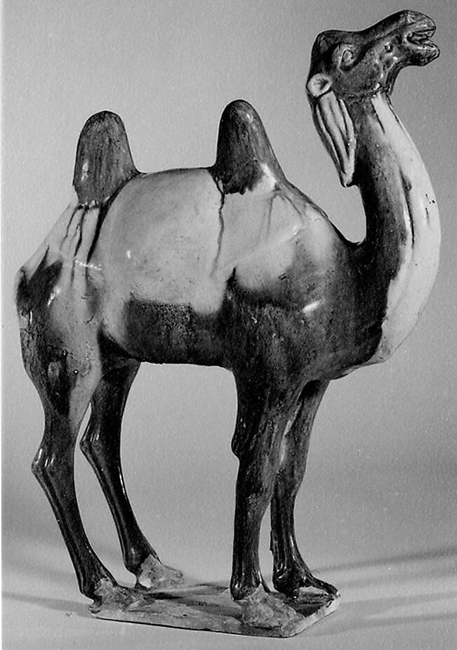 Camel, Earthenware with three-color (sancai) glaze, China 