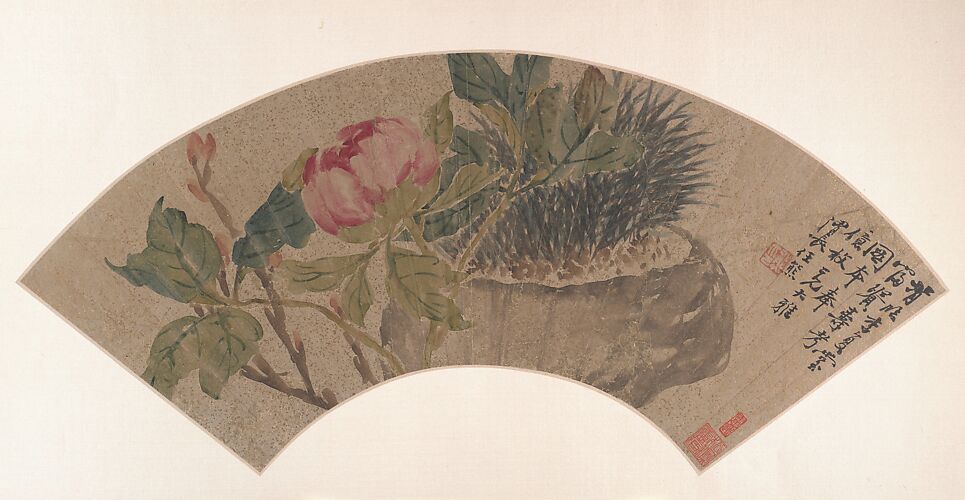 Peony