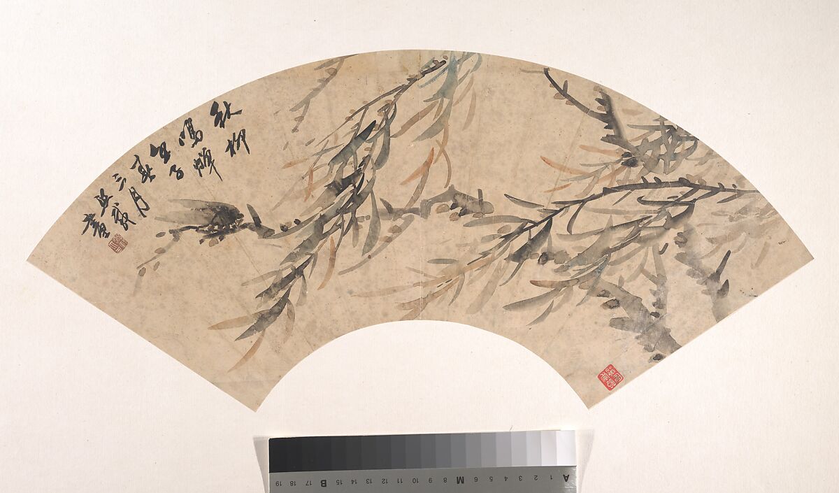 Cicada, Wu Xizai (Chinese, 1799–1870), Folding fan mounted as an album leaf; ink and color on alum paper, China 