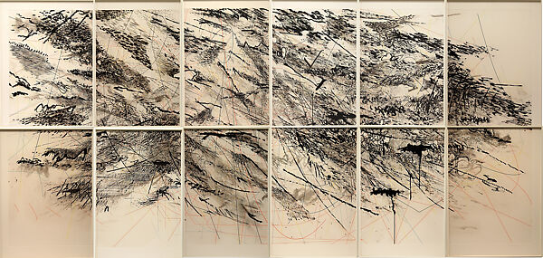 Auguries, Julie Mehretu (American, born Addis Ababa, Ethiopia, 1970), 12 panel aquatint with spit bite (from 48 plates) 