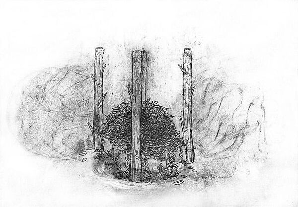 The Music of Things, Alice Maher (Irish, born Tipperary, 1956), Portfolio of seven etchings