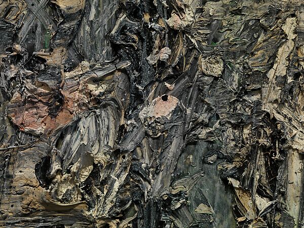 Morgenthau Plan, Anselm Kiefer (German, born Donaueschingen, 1945), Acrylic, emulsion, oil, and shellac on inkjet prints mounted on canvas