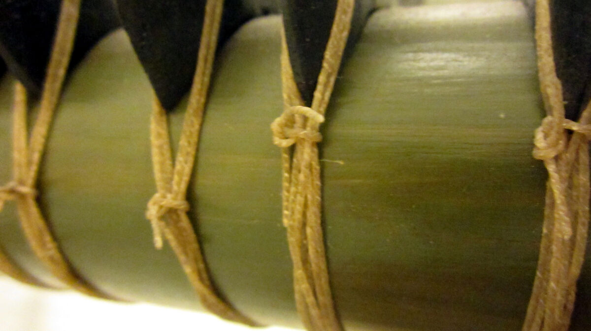 Mahati Vina, Wood, metal, parchment, horse hair, Indian (North)