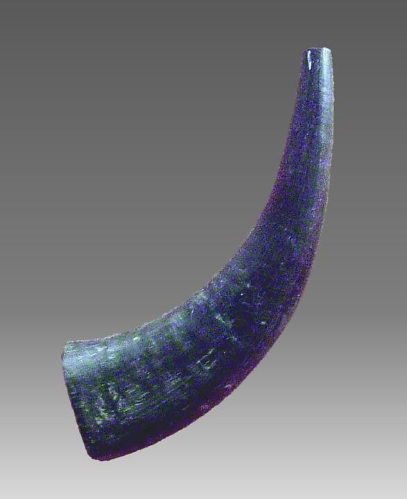 Horn, Water buffalo horn, Burmese 