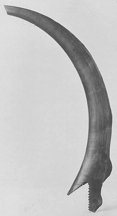 Horn, Ibex horn, Congolese 