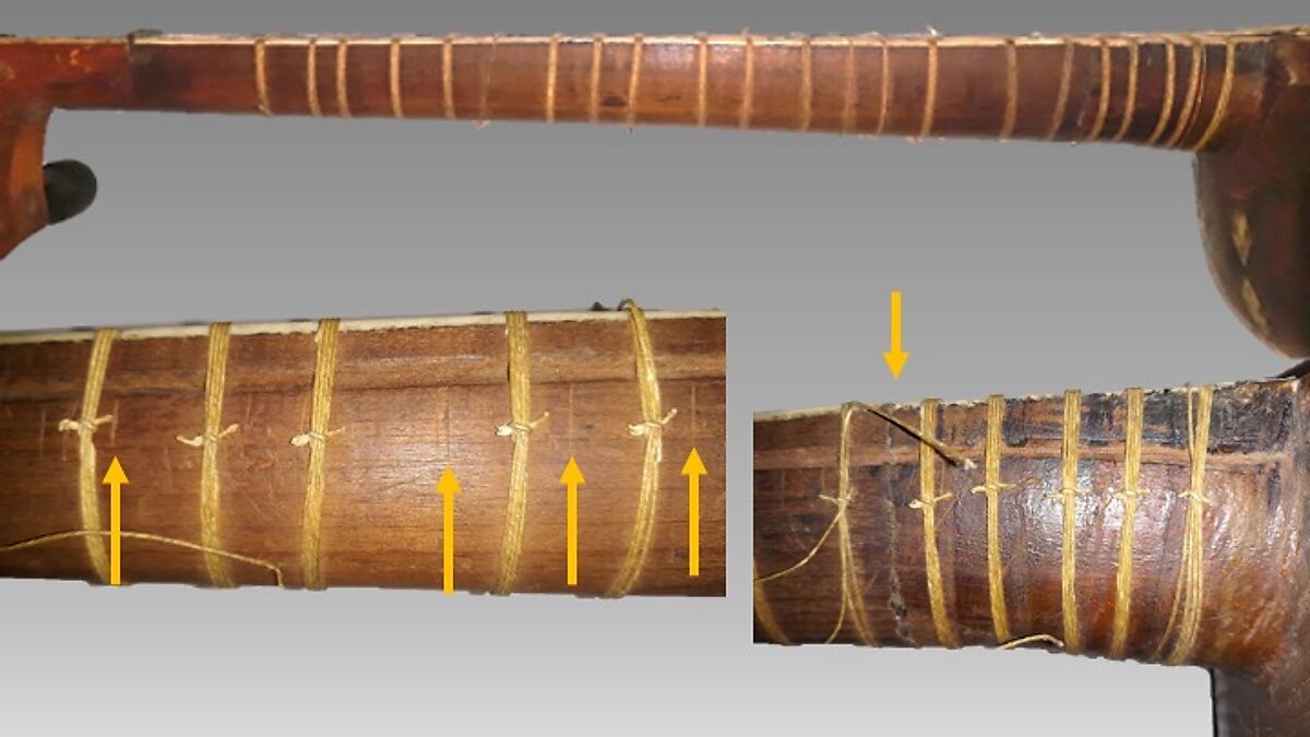 Tār, Wood, bladder?, bone, mother-of-pearl, Iranian (Persian)