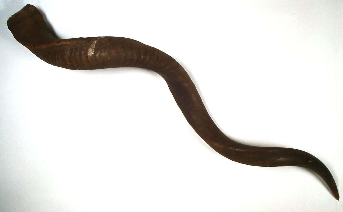 Kudu Horn, Horn, South African