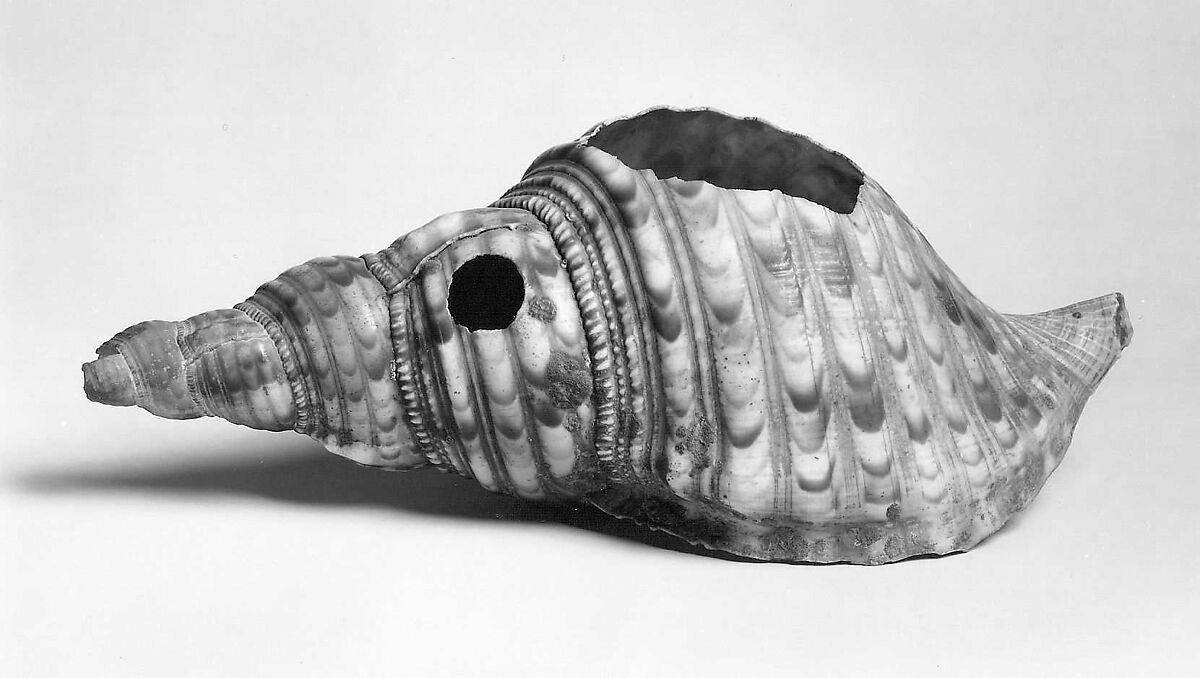 Antsiva, Conch Shell, Malagasy 