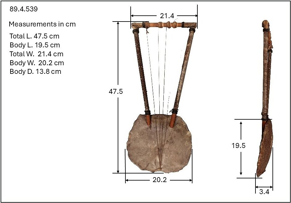 Bowl Lyre, Tortoiseshell, skin, wood, leather, probably Ethiopian