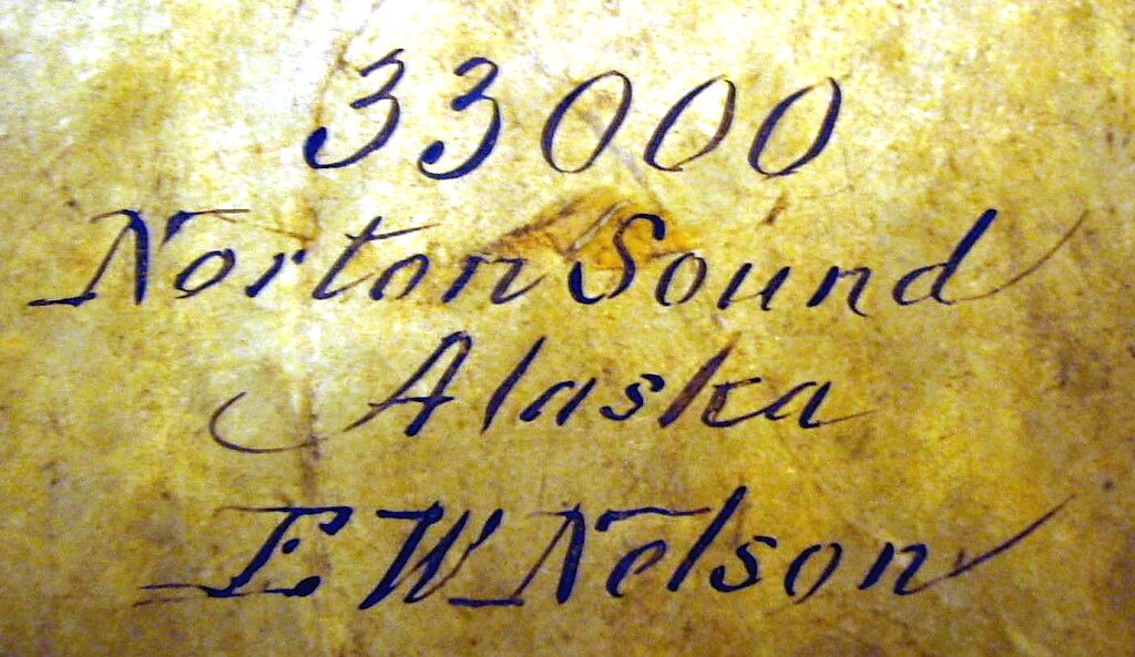 Kelyaut (frame drum), Wood, walrus ivory, seal or whale peritoneum, Native American (Inuit, Eskimauan or Eskimo)