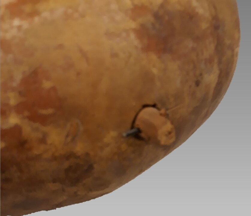 Rattle, Wood, gourd, Native American (Zuni)