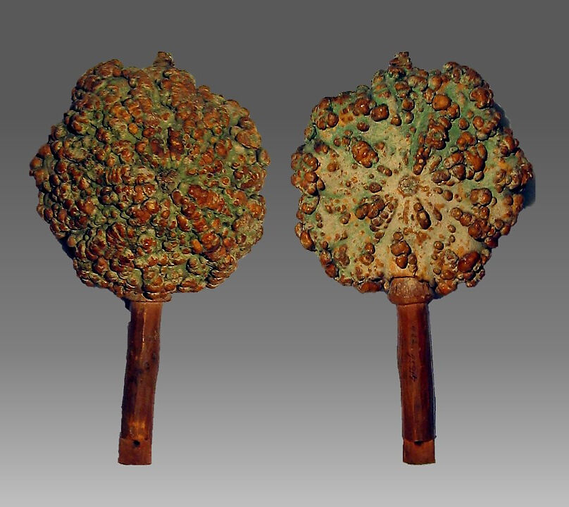 Rattle, Gourd, wood., Native American (Zuni)