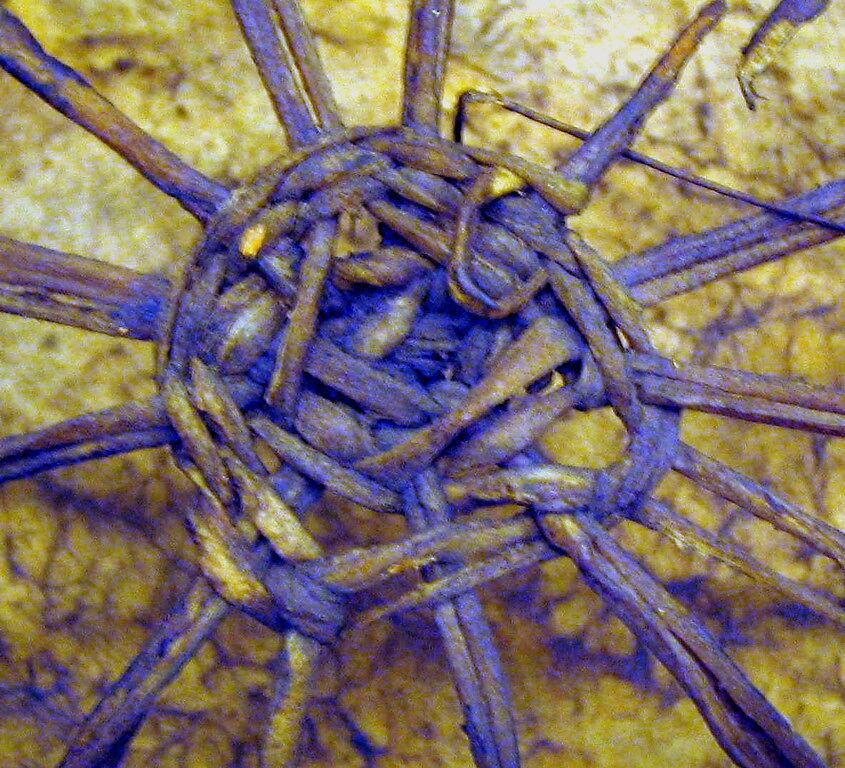 Frame Drum, wood, hide, paint, Native American (Tsa-Tinne?, Northern Athapascan) or (Southern Plains)