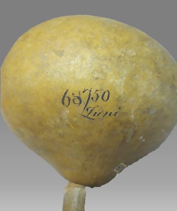 Rattle, Zuni tribe, Gourd, wood, pebbles, Native American (Zuni)