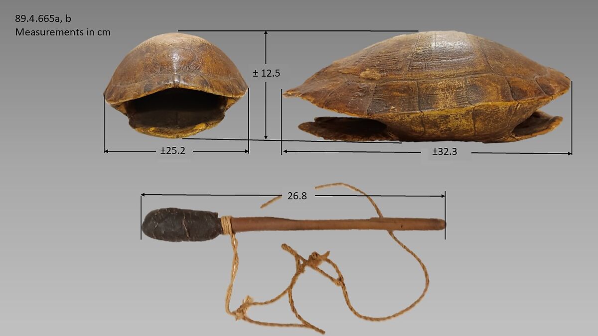 Coc, Turtle Shell, Guatemalan