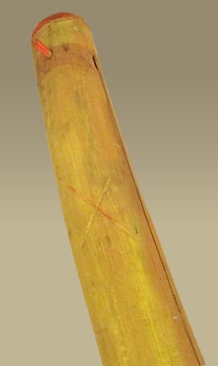 Tsii' Edo' Ai (Apache Fiddle), Agave, wood, sinew, horsehair, Native American (Apache, probably)