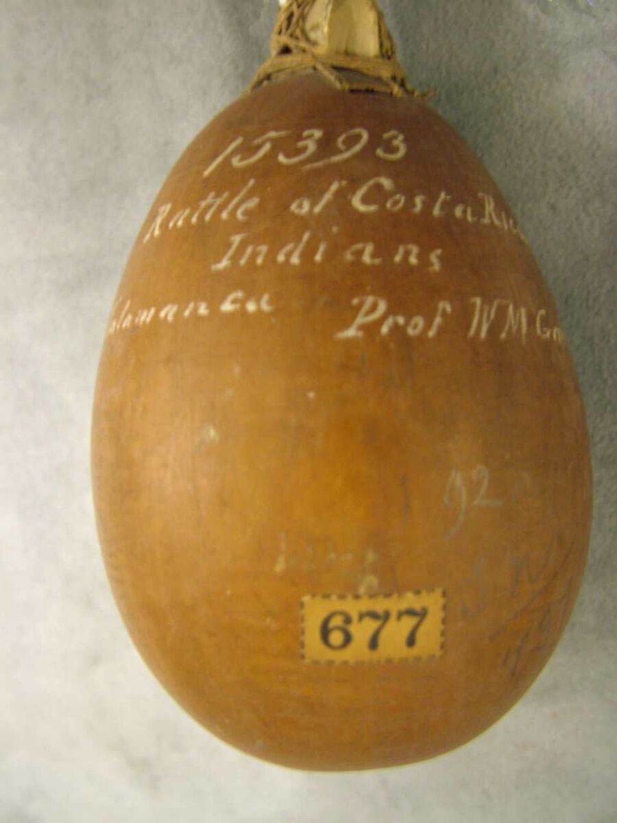 Rattle, gourd, bone, cord, Native American (Bribri, probably)