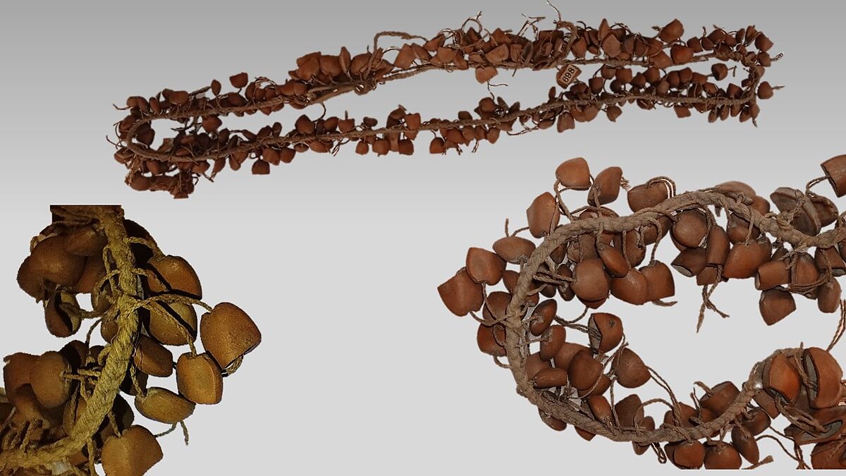 Strung Rattle, fruit shells or seeds, cotton? cord, Native American (Guyanese: Demerara)