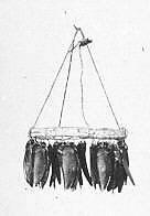 Rattle, Wood, beetle's wings, cord, Native American (Guyanese - Demerara)