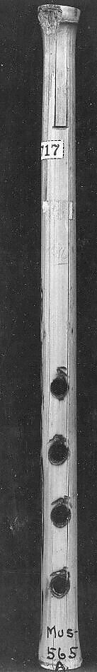 Pito, cane, Colombian