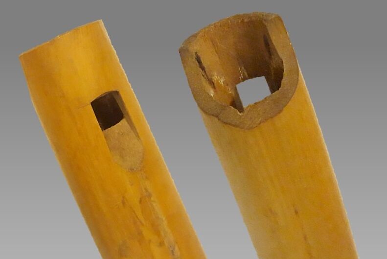 Whistle, cane or bamboo, Native American (Brazilian)