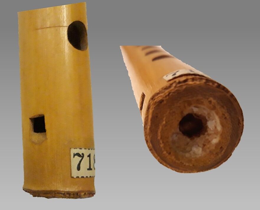 Whistle, cane or bamboo, Native American (Brazilian)