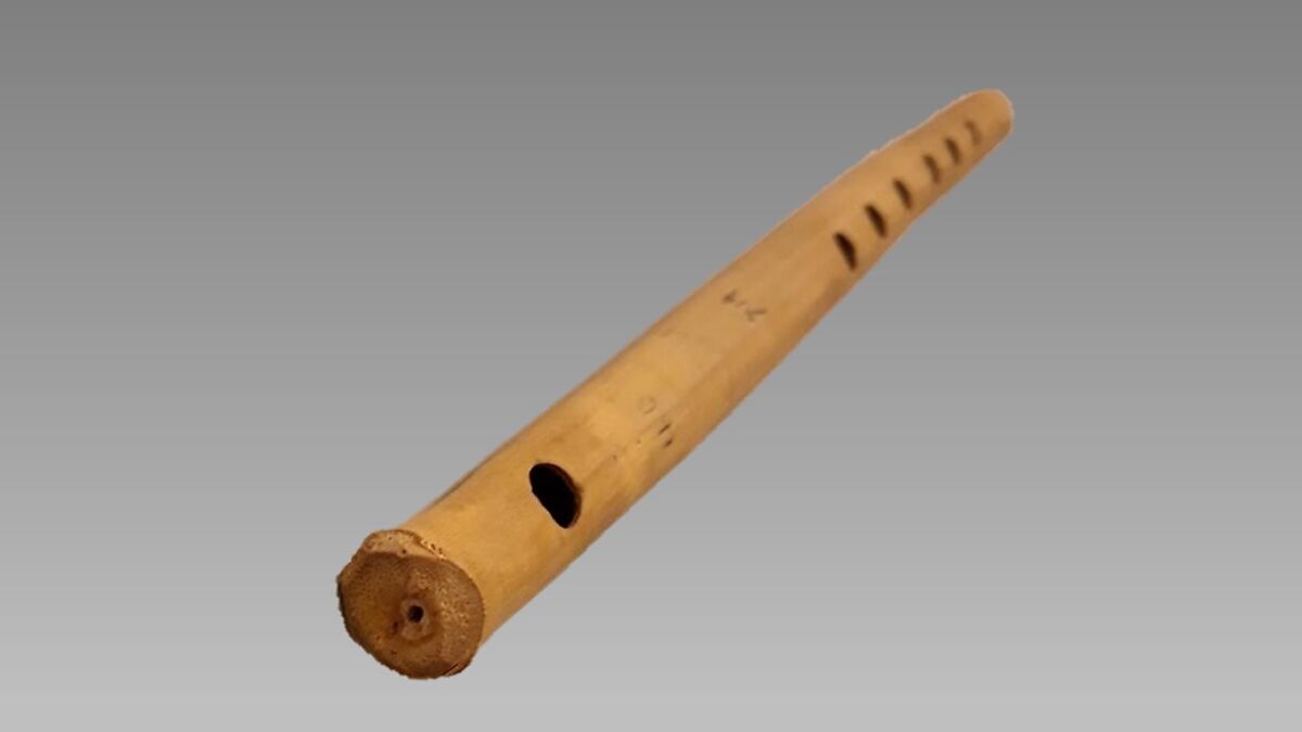 Flute, bamboo or cane, Native American (Brazilian)