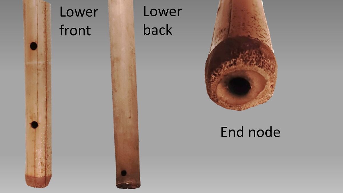 Gore, Bamboo, Melanesian (Aoba Island, Vanuatuan)