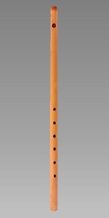 Transverse Flute