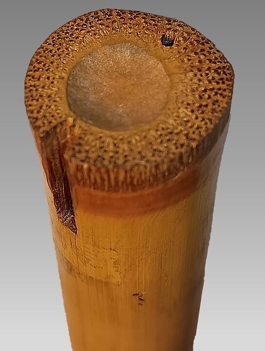 Turali or Silingut  (nose flute), bamboo, rattan, Bornean (poss. Dayak)
