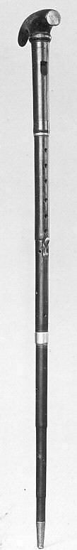Walking-Stick Flageolet in A, Wood, brass, horn, nickel-silver, German 