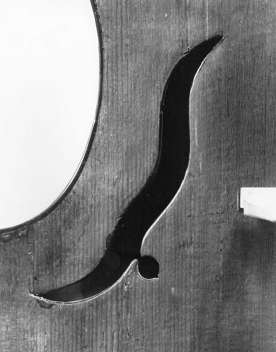 Viola da Braccio, Spruce and bird's-eye maple, German