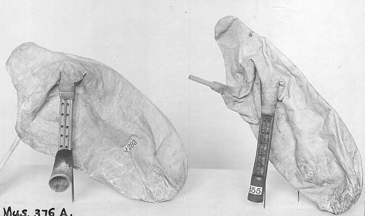 Tsambouna, Cane, wood, horn, sheepskin, Greek