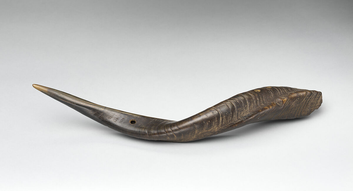 Horn, animal horn, African