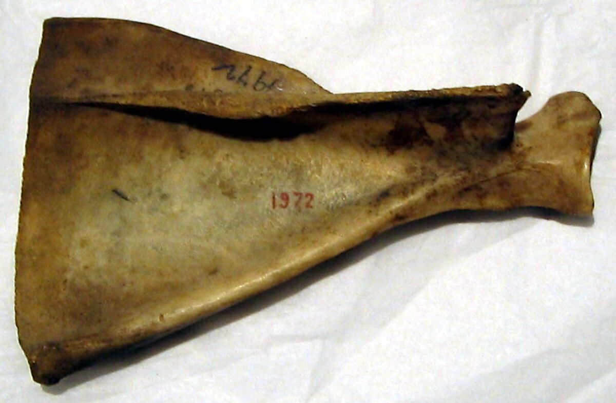 Truh-kun-pi, Hopi Indians, Bone, gourd, wood, Native American (Hopi)