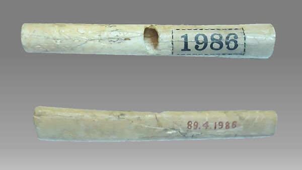 Bone Whistle, Bone (bird), Native American (Mission Indians of the Channel Islands - Tongva/Gabrieleno?) 