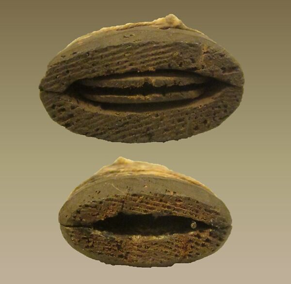 Reed Pipe, wood (red cedar or spruce), cord, Native American (Skittagetan, Haida probably)