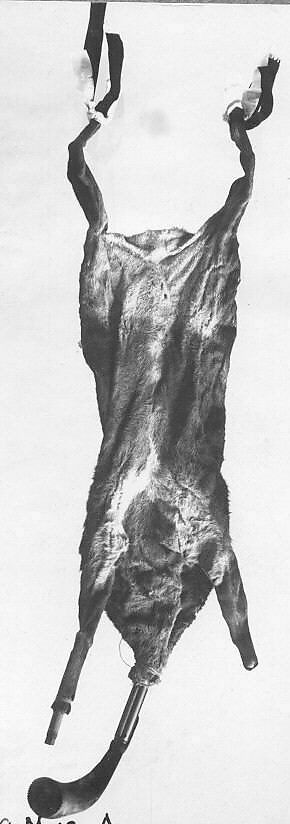 Żaqq, Cane, animal skin, cattle horn, Maltese