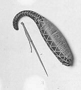 Güiro, Gourd, wood, Native American (Puerto Rico)