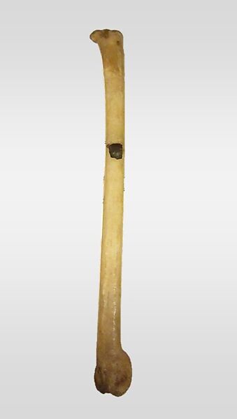 Whistle, Bone, resin, Native American (Oglala) 